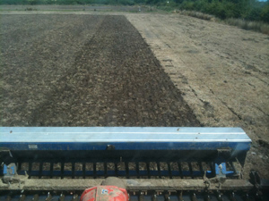 ploughing